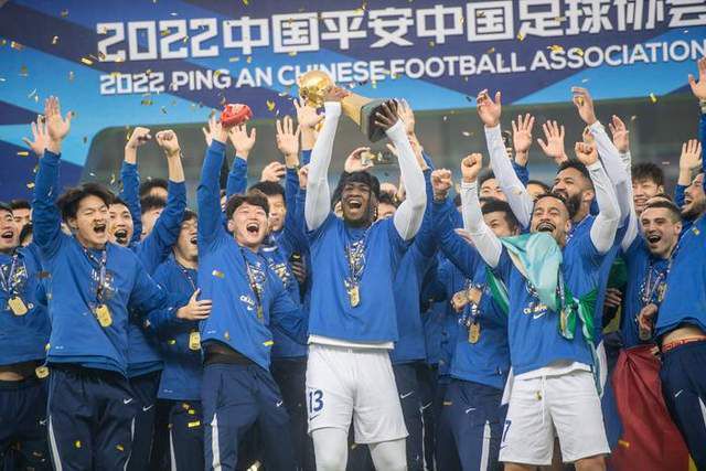 国内精品久久久久久久