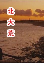 www免费黄色